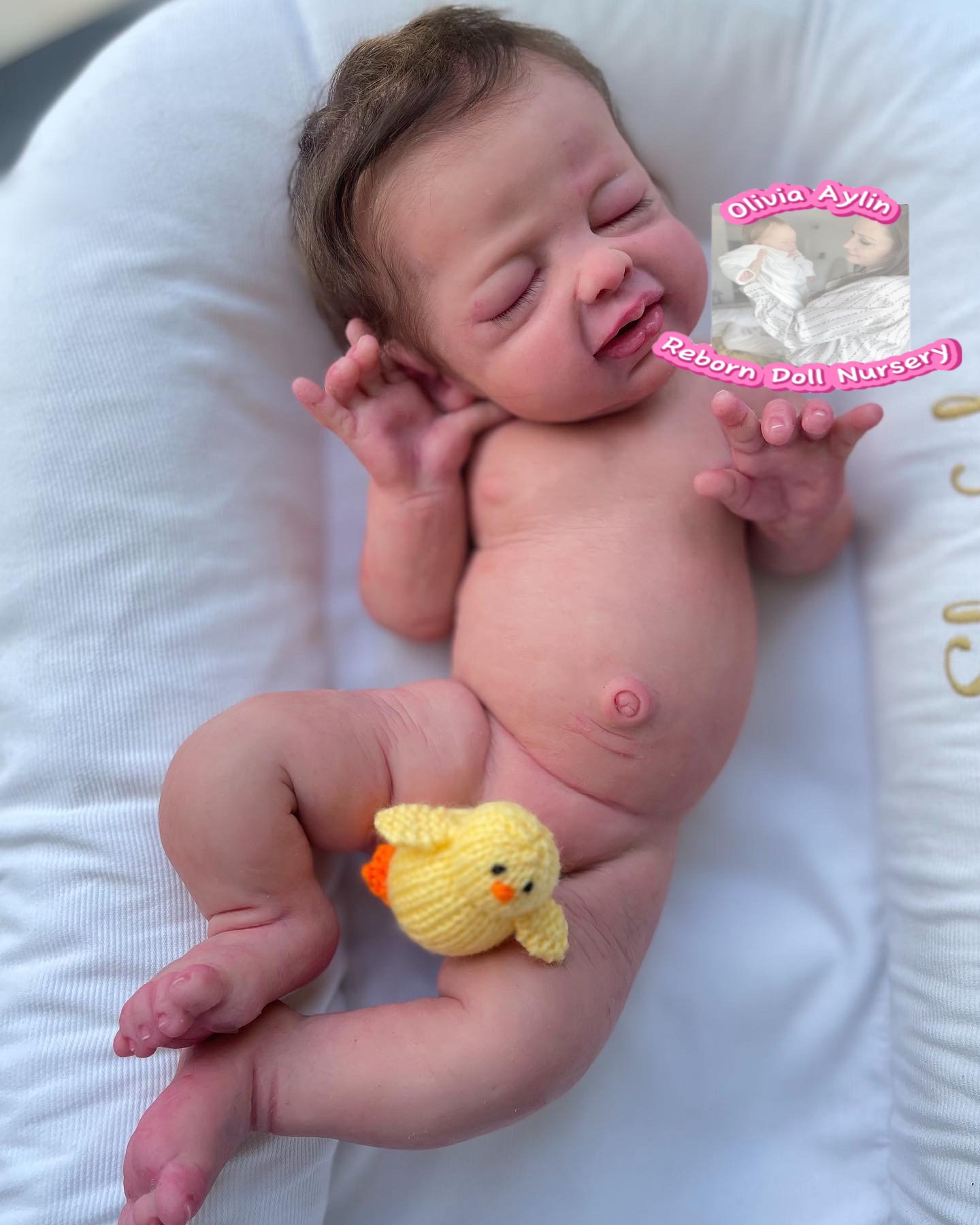 4514297293 Wren – Full Body Silicone Reborn Baby Girl Doll