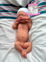 Tiny Amelia – Full Body Silicone Reborn Baby Girl Doll - Photo 2